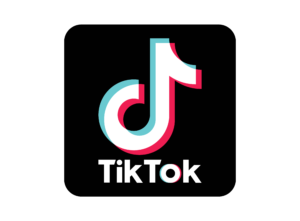 TikTok Logo Black