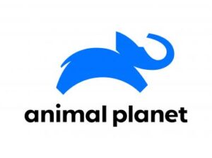 t animal planet4122