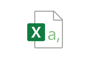 Excel CSV
