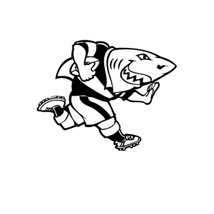 Sharks Rugby 01