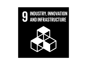 The Global Goals Industry Innovation and Infrastructure Black