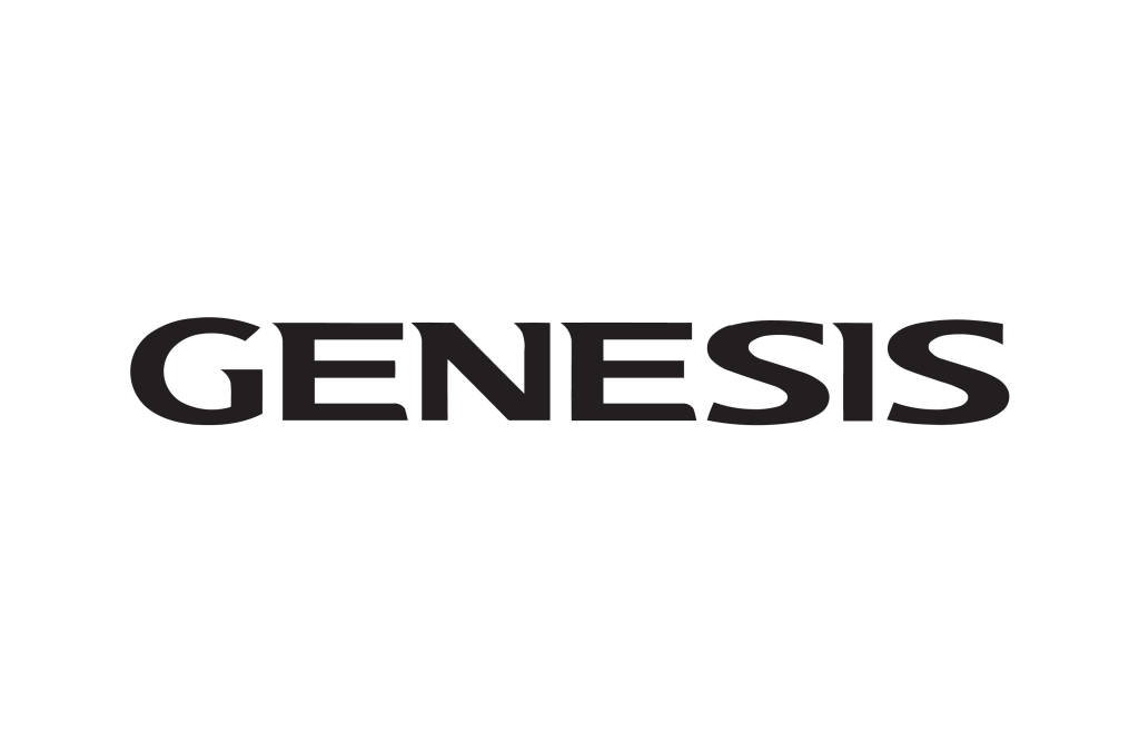 2pcs GENESIS Logo Wing Car Door Welcome Shadow Light for Genesis Coupe G70  G80 G90 Car Gadget Interior Decoration - AliExpress
