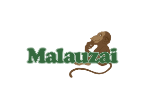 Malauzai Software removebg preview