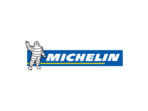 Michelin removebg preview