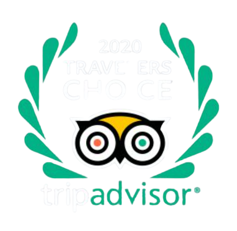 travellers choice 2020 tripadvisor