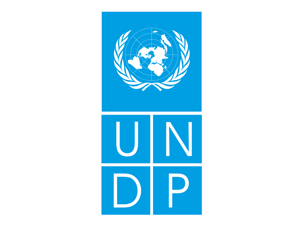 Download UNDP Logo PNG and Vector (PDF, SVG, Ai, EPS) Free