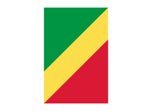 Vertical Flag of the Republic of the Congo 1