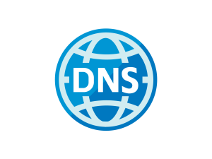 DNS Icon