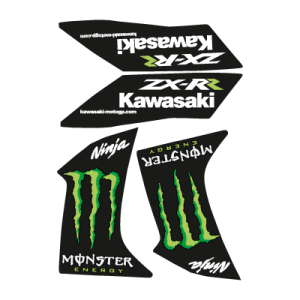 Kawasaki Ninja Monster ZX RR
