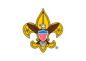 American Boy Scouts Colored