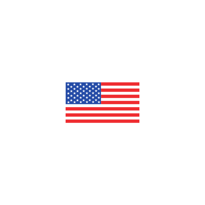 Download American Flag Logo PNG and Vector (PDF, SVG, Ai, EPS) Free
