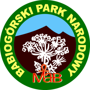 Babiogorski National Park 01