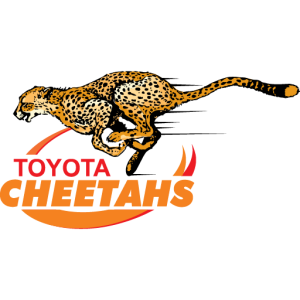 Cheetahs Rugby 01