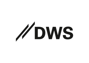 DWS Group