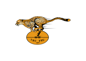 Free State Cheetahs