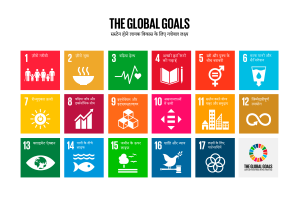 The Global Goals Icon Grid Hinglish