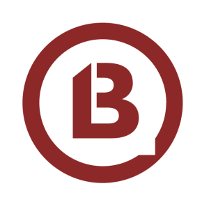 b13 gmbh vector logo