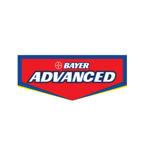 bayer advanced vector logo
