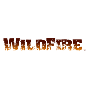 benjamin wildfire vector logo
