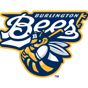 burlington bees vector logo