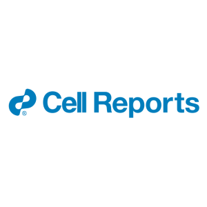 cell reports vector