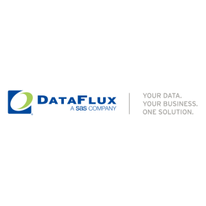 dataflux vector logo