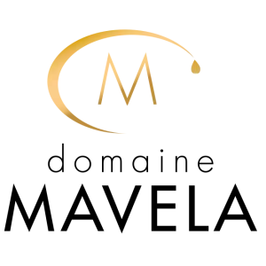 domaine mavela vector logo