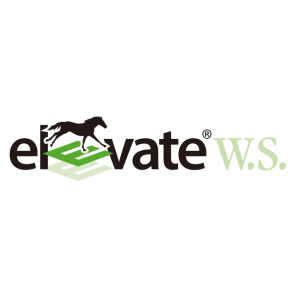 elevate ws vector logo