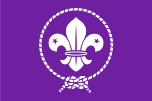 european scout region logo