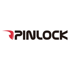 pinlock group bv vector logo