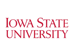 Iowa State University Wordmark Logo