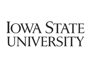 Iowa State University Wordmark Stacked Black Logo