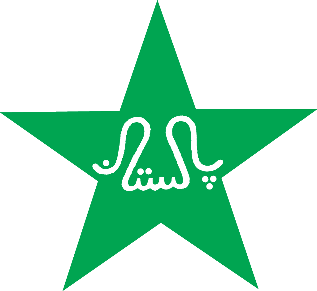 Pakistan National Cricket Team Logo Color Scheme » Brand and Logo »  SchemeColor.com