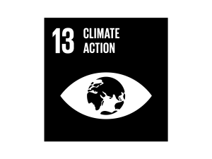 The Global Goals Climate Action Black
