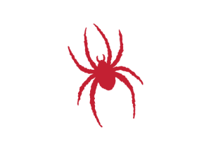 The Richmond Spiders