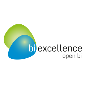 bi excellence software gmbh logo vector