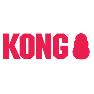 Kong Company