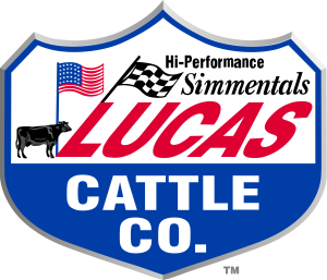 Lucas Cattle Company Light