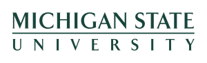 Michigan State University Black Wordmark