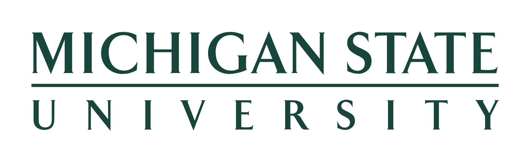 Michigan State University Black Wordmark