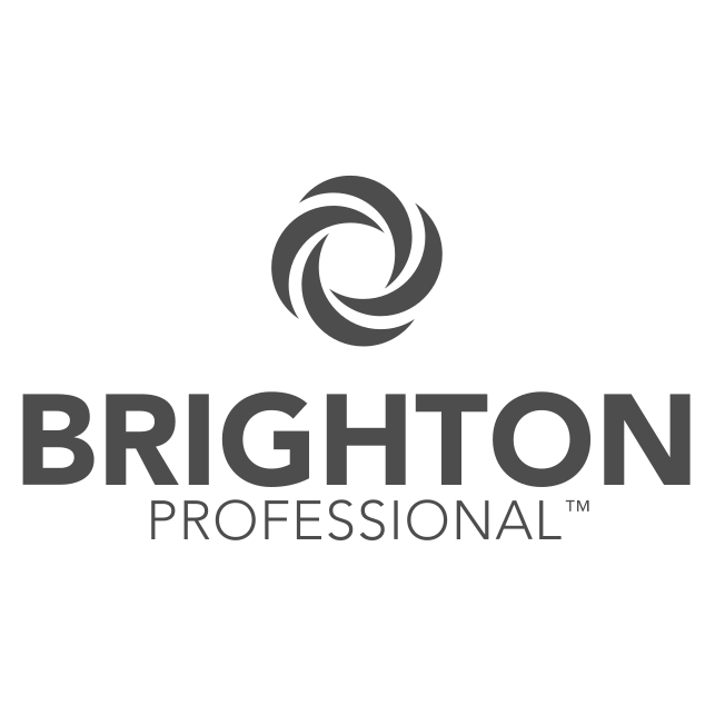 Download Brighton Professional Logo Png And Vector Pdf Svg Ai Eps Free