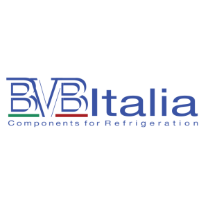 bvb italia vector logo