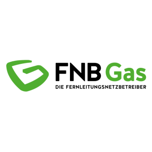 fnb gas ev vector logo