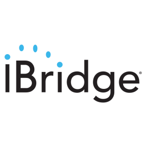 iBridge Connected Home Services