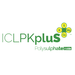 icl pkplus logo vector