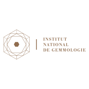 ing institut national de gemmologie logo vector