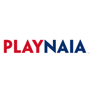 playnaia vector logo