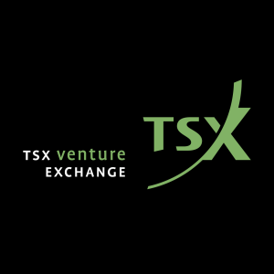 tsx venture exchange 1