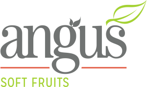 Angus Soft Fruits