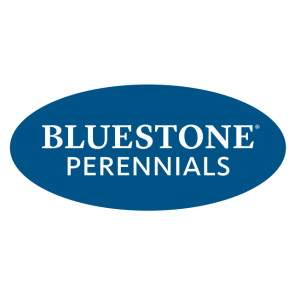 Bluestone Perennials